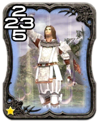 Image of the Paladin card